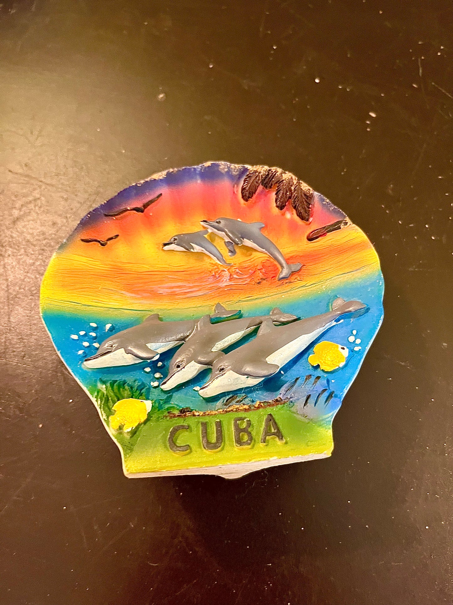 Cuba Dolphin Souvenir Fridge Magnet
