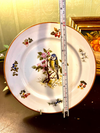 Vintage Blue Tit Bird Porcelain Decor Plate Gold Rim 23cm