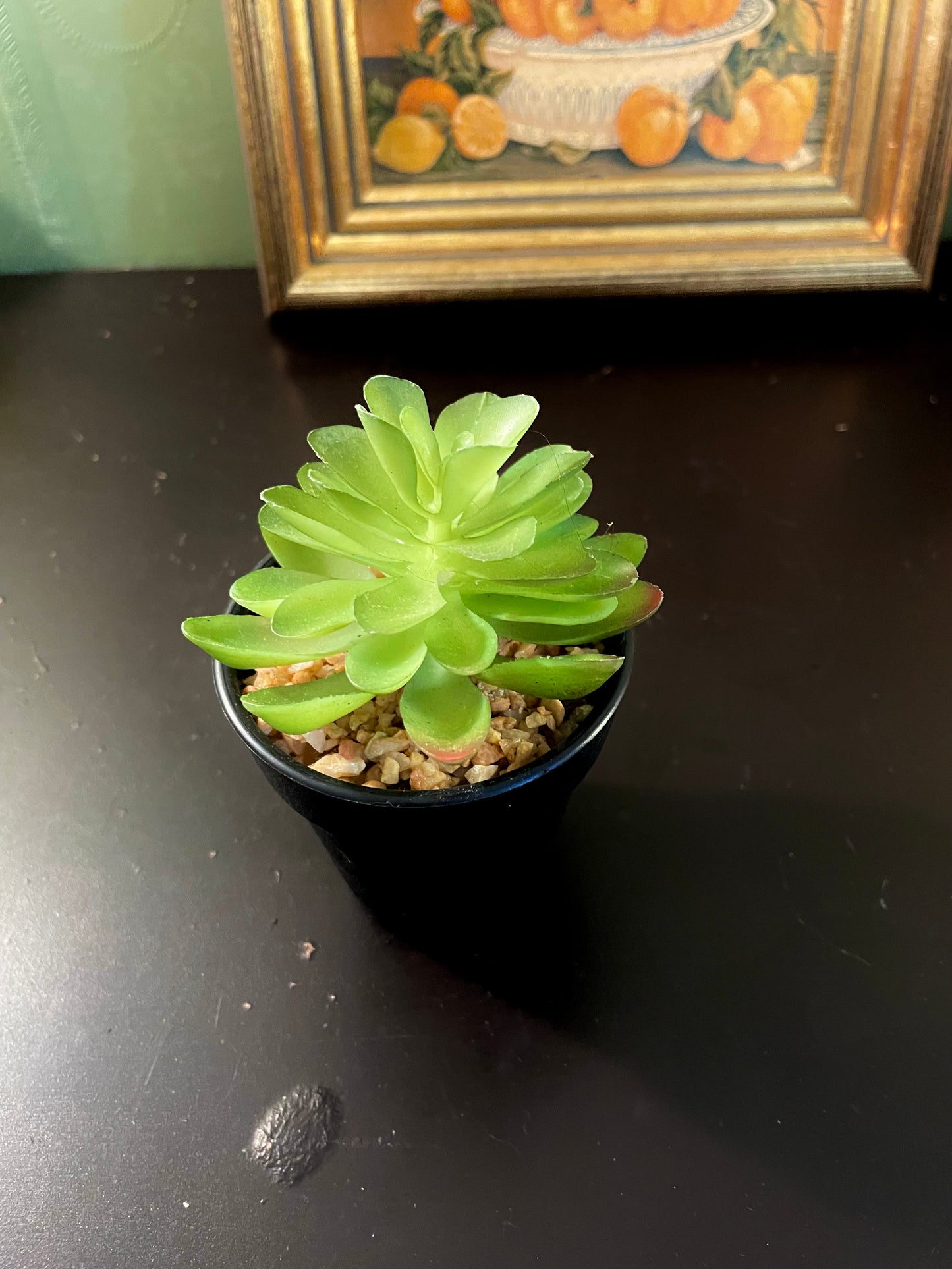 Decorative Faux Succulent in Black Pot – 4 Inch