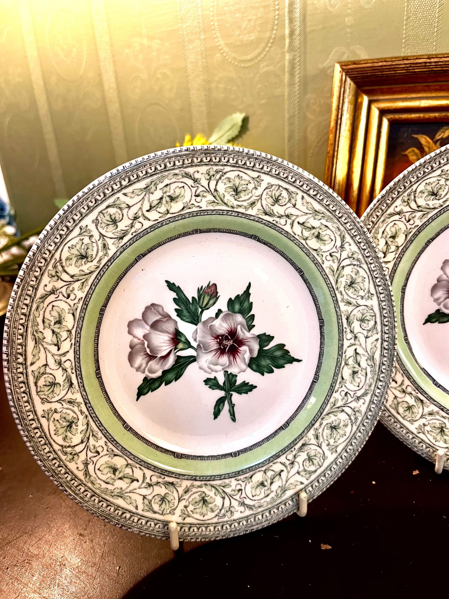 Set of 2 Royal Horticultural Society Applebee Collection Hibiscus Side Plates – Made in England – 18cm