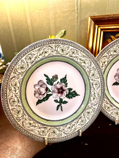 Set of 2 Royal Horticultural Society Applebee Collection Hibiscus Side Plates – Made in England – 18cm