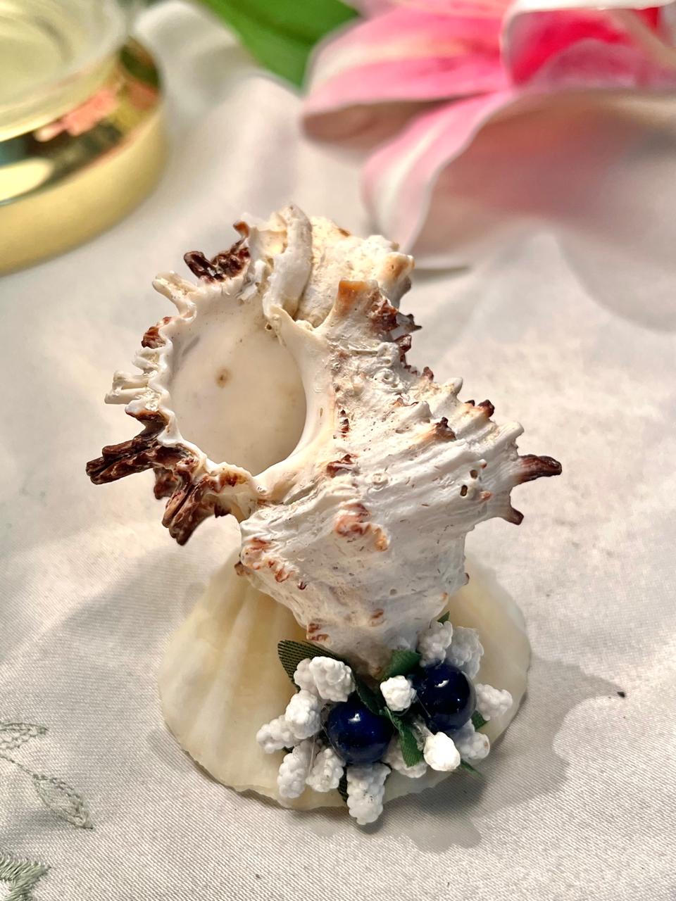 Natural Seashell Decorative Ornament Cream Brown 5cm - 1 Piece