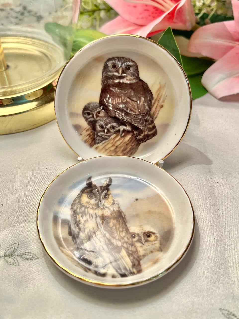 Royal Vale Bone China Owl Decorative Plate  Pair 3.5 in