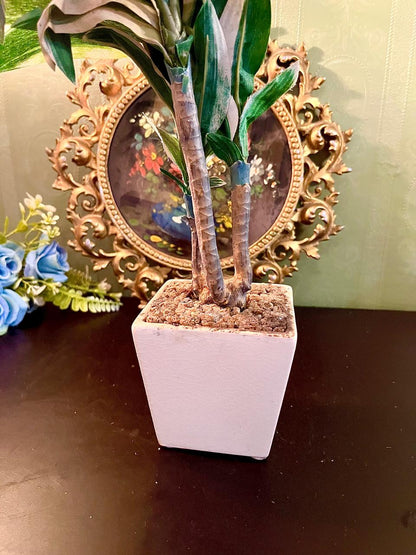 Artificial Dracaena Plant in White Planter