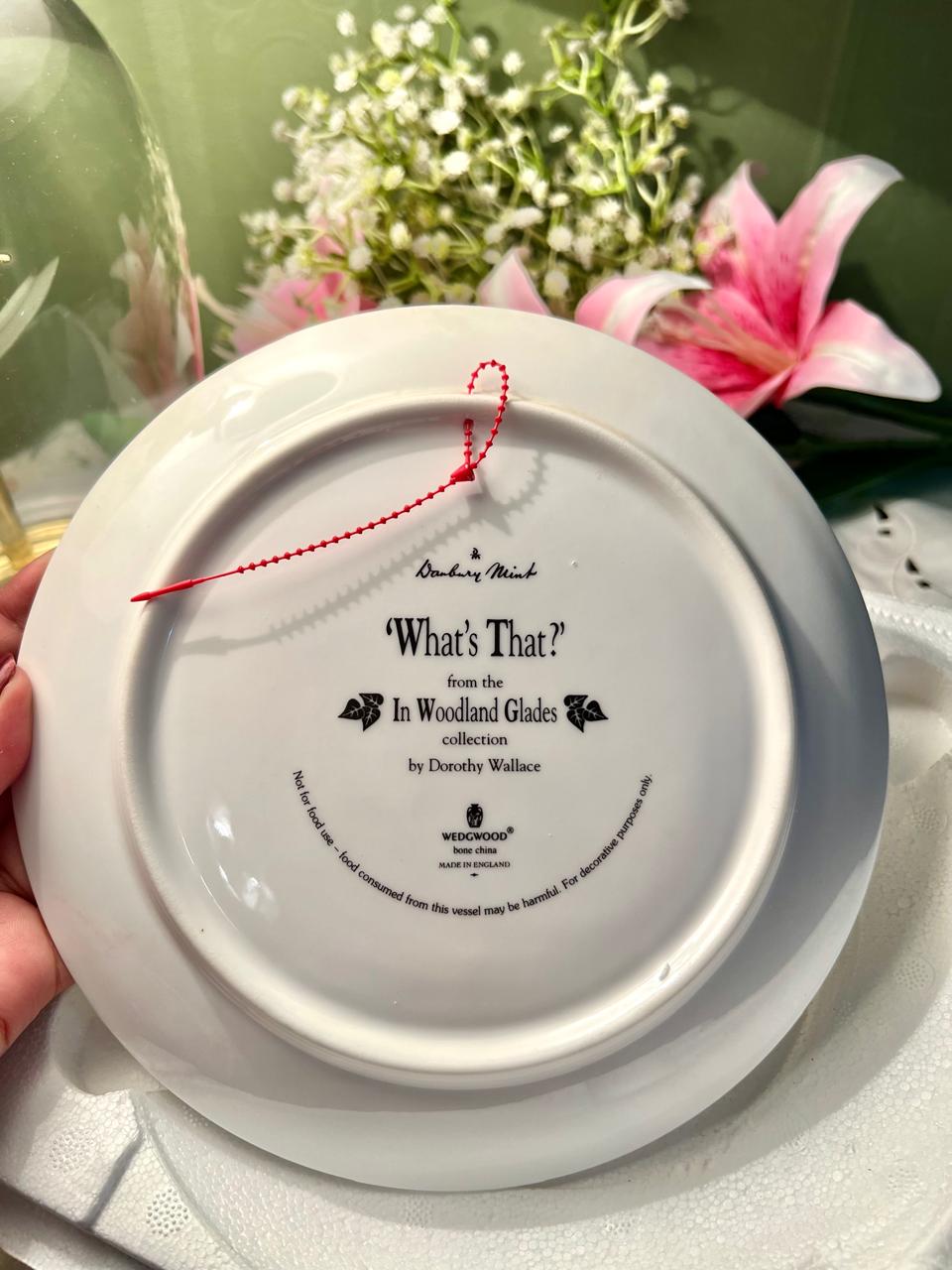 Wedgwood What’s That? Badger Wall Plate 20 cm