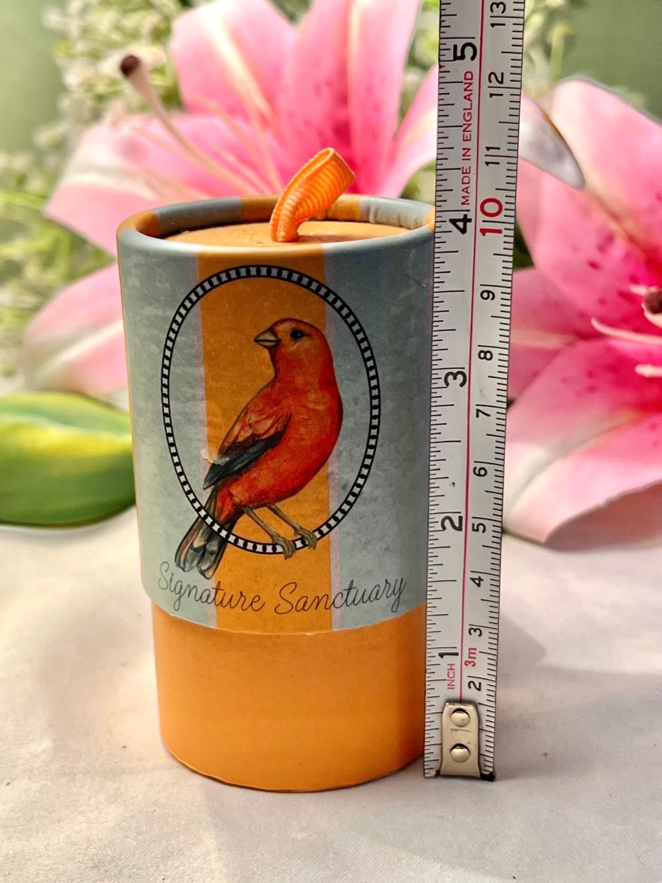 Signature Sanctuary Bird Candle Approx. 10 cm
