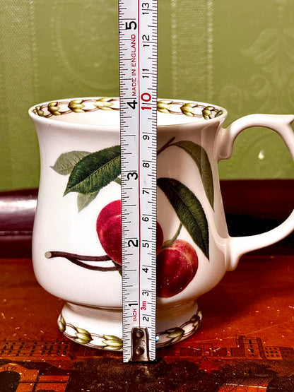 Queen’s RHS Hookers Fruit Fine Bone China Cherry Mug