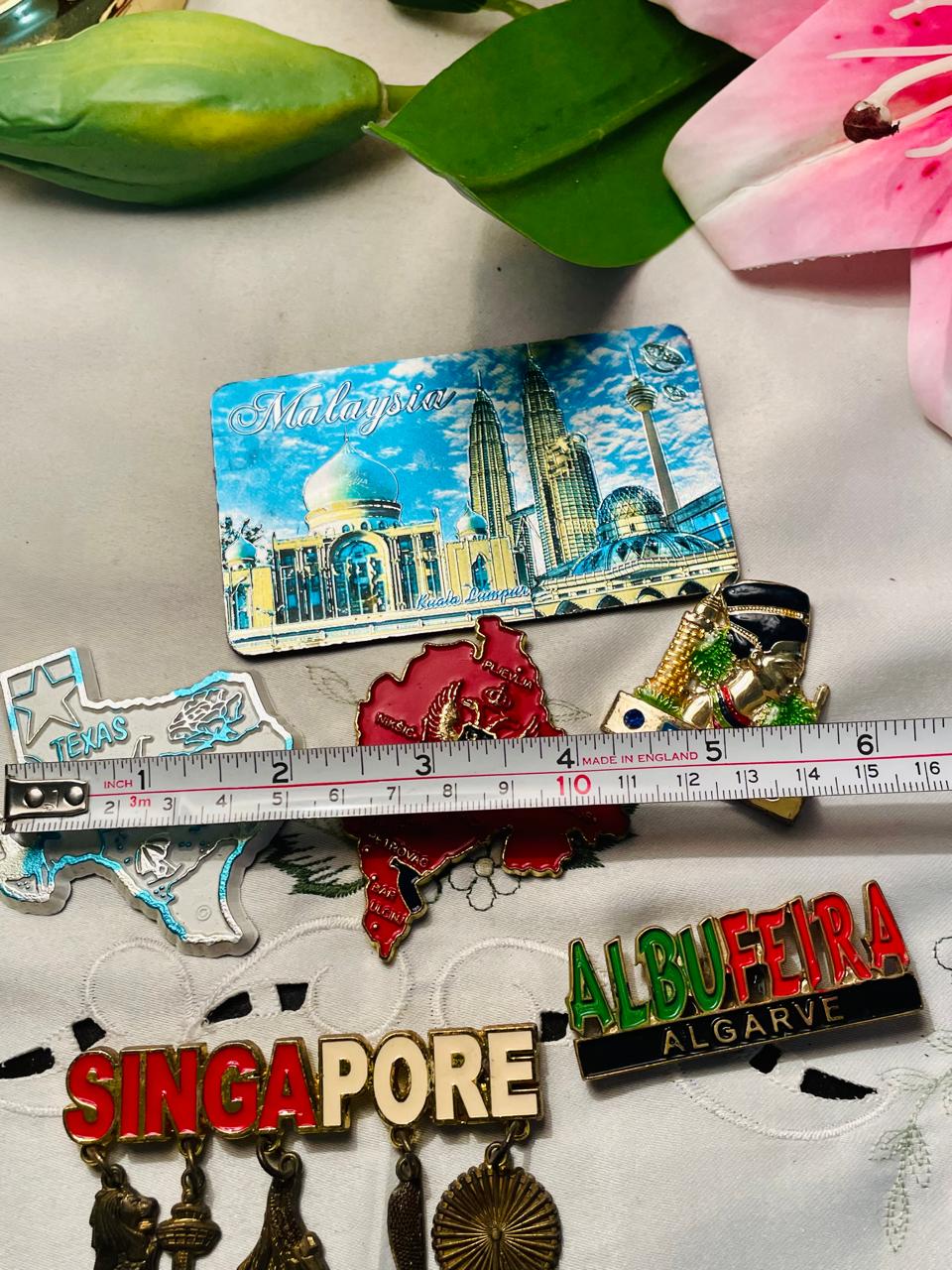 Fridge Magnet 6-Piece Travel Souvenir Magnet Set Malaysia Singapore & More