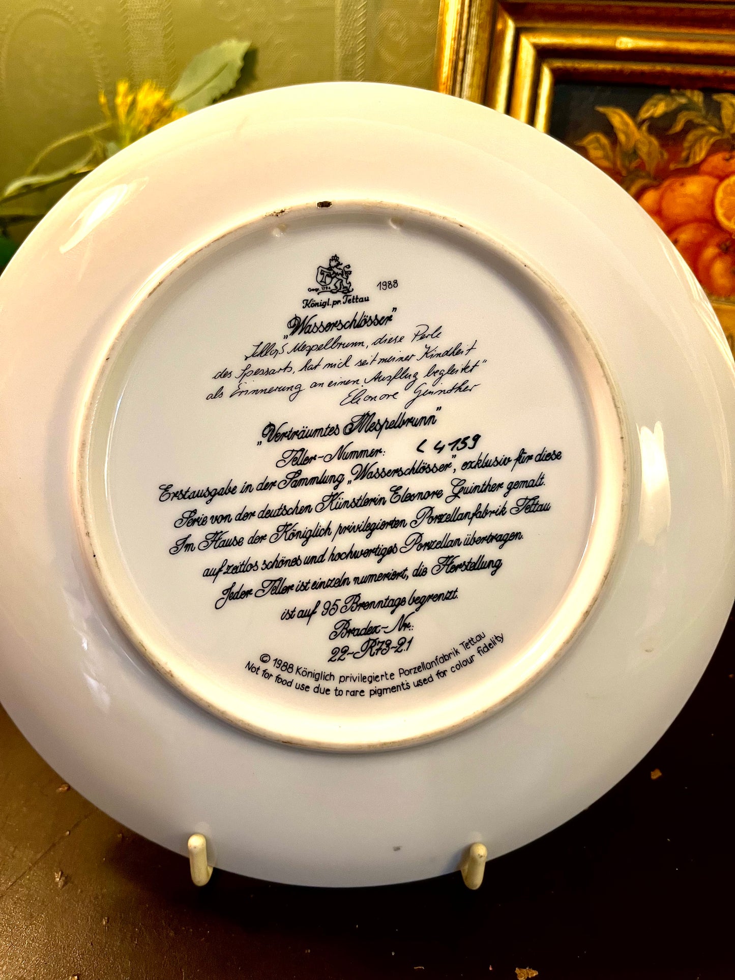 Königl. Priv. Tettau Dreamed Water Castle Collector Plate 1988