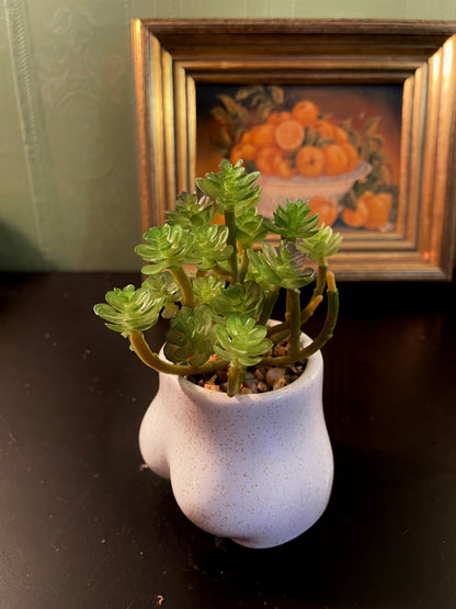 Artificial Succulent in Novelty Body Planter 6 Inch