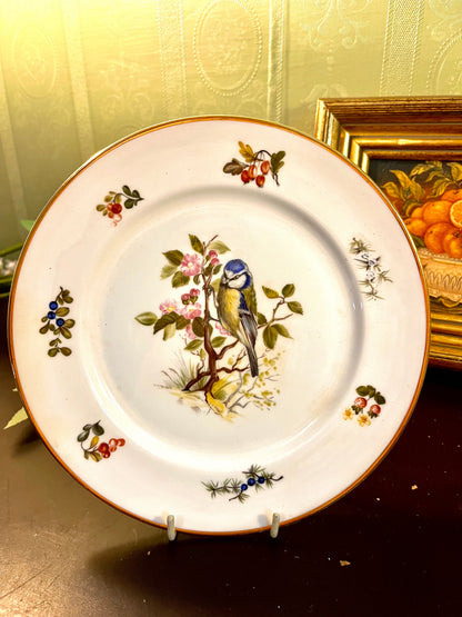 Vintage Blue Tit Bird Porcelain Decor Plate Gold Rim 23cm