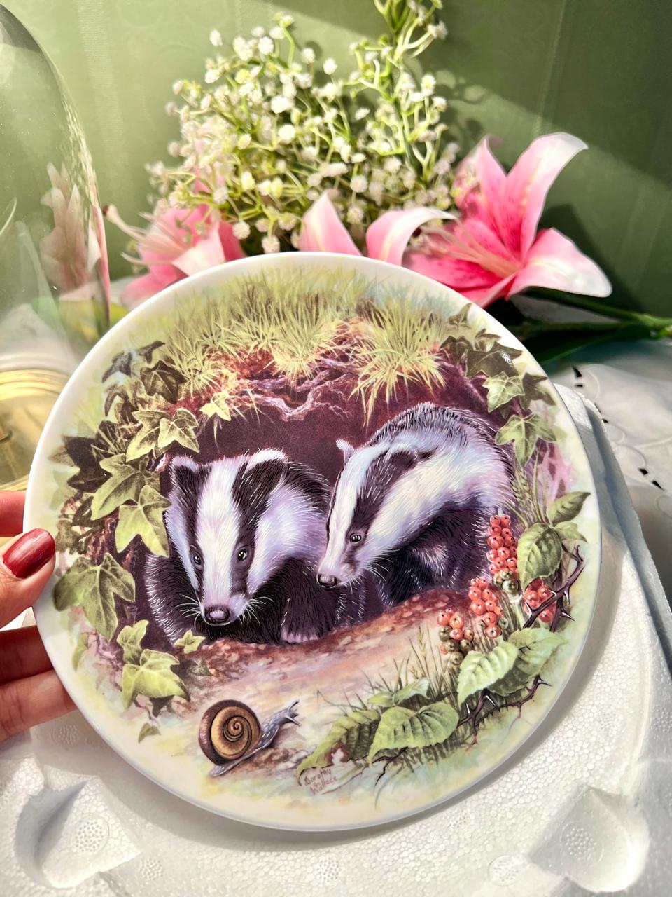 Wedgwood What’s That? Badger Wall Plate 20 cm