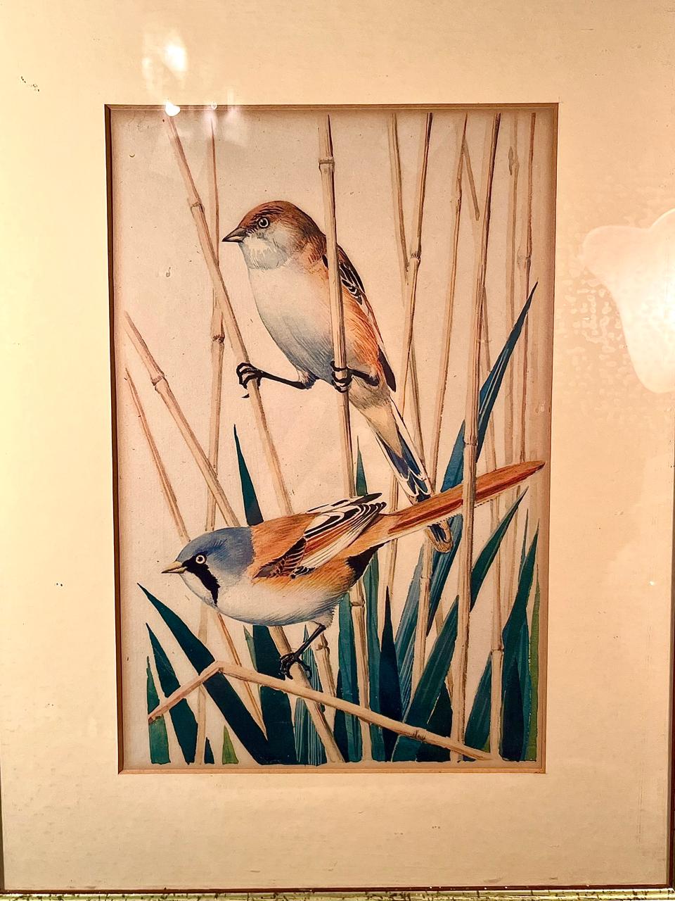 Vintage Framed Bird Print with Reed Scene 14 in