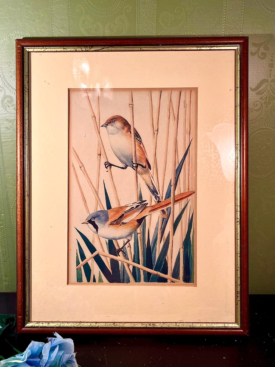 Vintage Framed Bird Print with Reed Scene 14 in