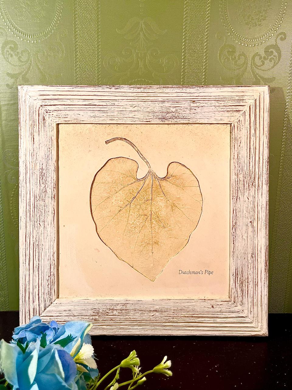 Marks Spencer Framed Dutchman’s Pipe Botanical Leaf Artwork 10 in
