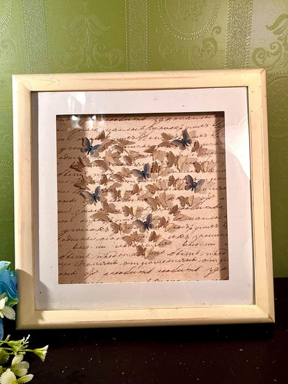 11-Inch Framed Butterfly Shadow Box Artwork