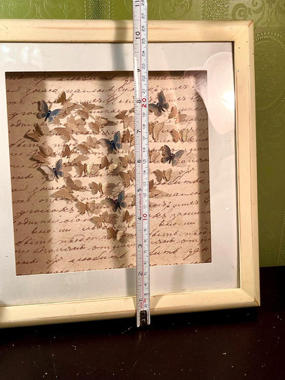 11-Inch Framed Butterfly Shadow Box Artwork