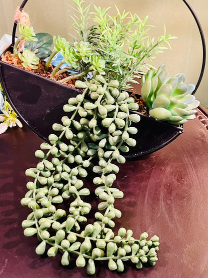 Black Metal Hanging Planter with Artificial Succulents 22cm
