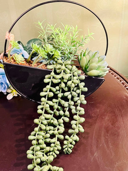 Black Metal Hanging Planter with Artificial Succulents 22cm
