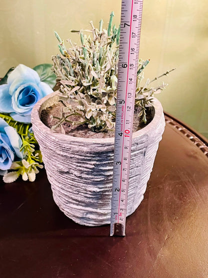 Textured Grey Planter with Artificial Foliage Approx. 18cm