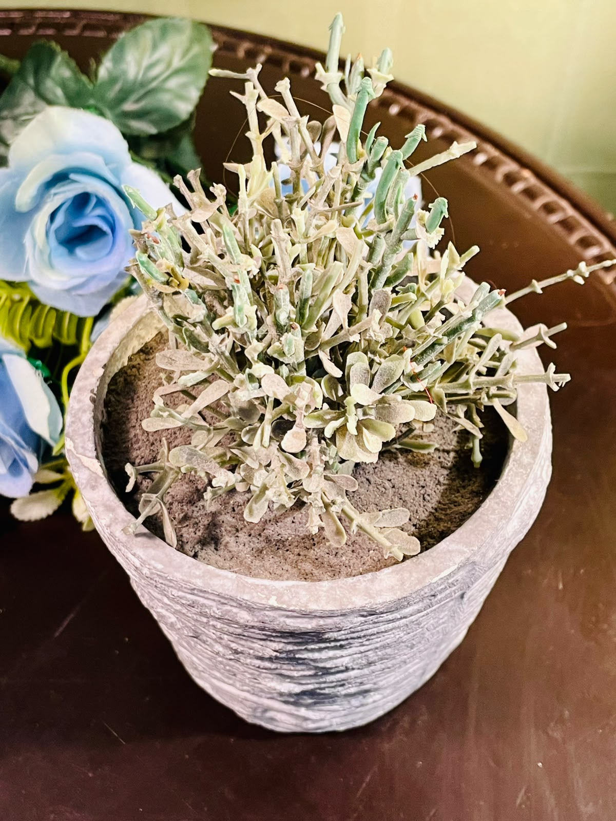 Textured Grey Planter with Artificial Foliage Approx. 18cm
