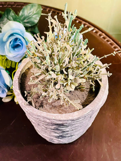 Textured Grey Planter with Artificial Foliage Approx. 18cm