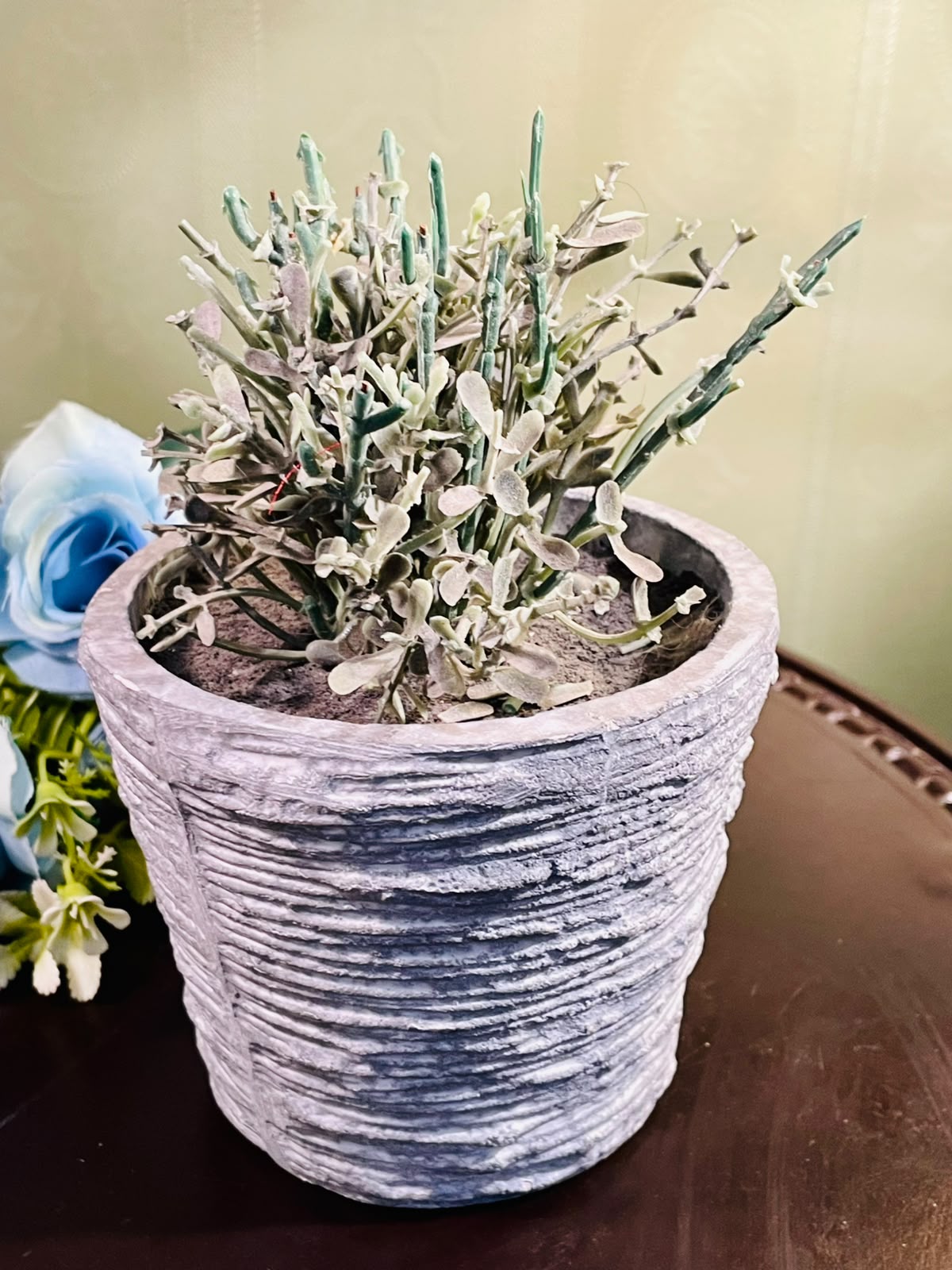 Textured Grey Planter with Artificial Foliage Approx. 18cm