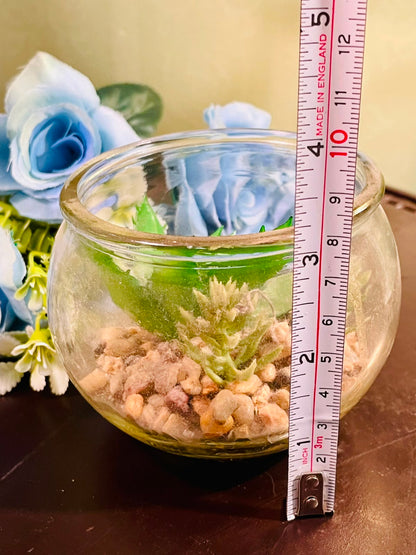 Clear Crystal Bowl with Artificial Succulents Approx. 12cm