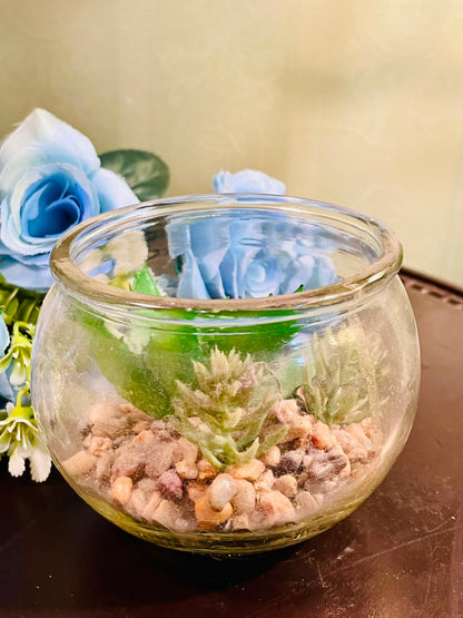 Clear Crystal Bowl with Artificial Succulents Approx. 12cm