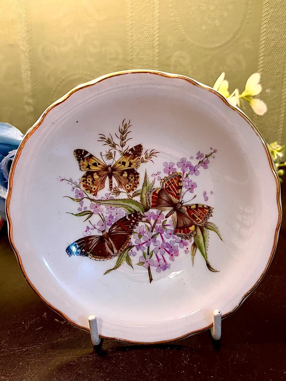 Royal Grafton Butterfly Fine Bone China Plate 4.5 Inch