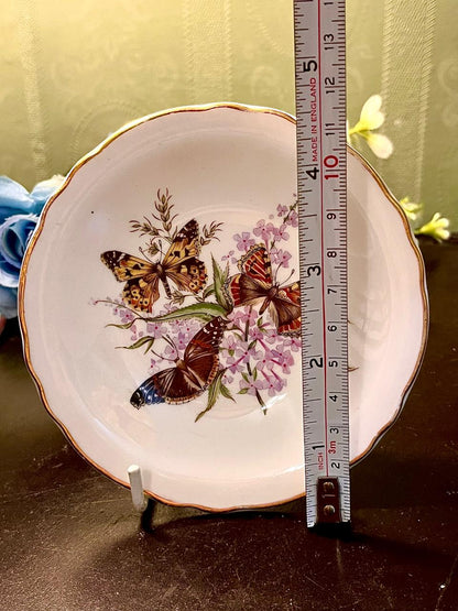 Royal Grafton Butterfly Fine Bone China Plate 4.5 Inch