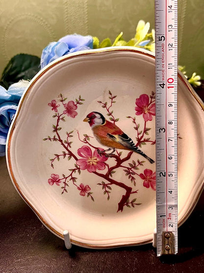 Palissy Bird and Pink Blossom Decorative Plate 5 Inch
