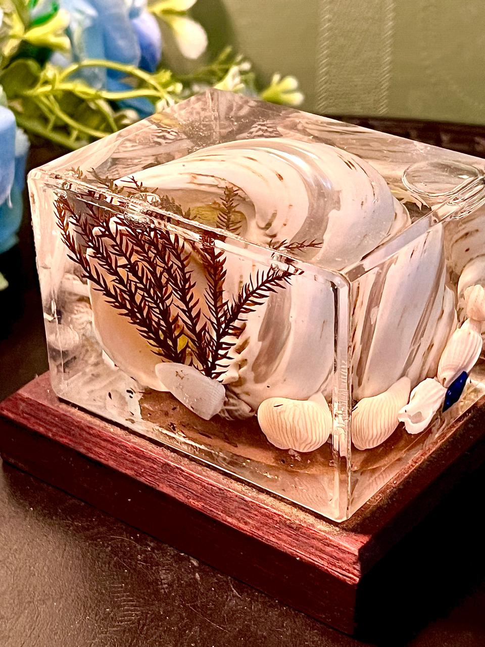 Orlando Florida Crystal Shell Display Cube 3.5 Inch