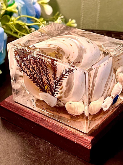 Orlando Florida Crystal Shell Display Cube 3.5 Inch