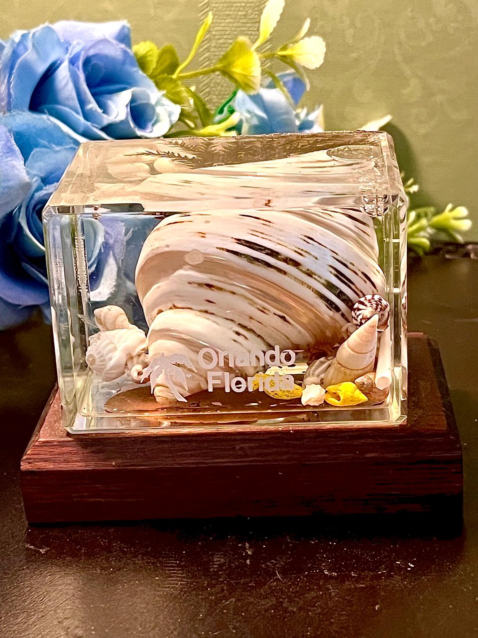 Orlando Florida Crystal Shell Display Cube 3.5 Inch