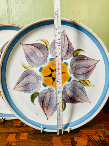Denby Chatsworth Floral Handpainted Decor Plates 2-Piece Set 26cm