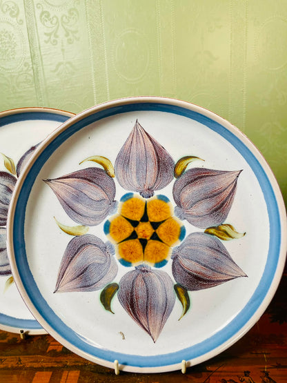 Denby Chatsworth Floral Handpainted Decor Plates 2-Piece Set 26cm