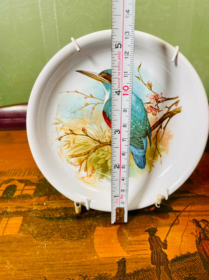 Kingfisher Blossom Decorative Wall Plate 13cm
