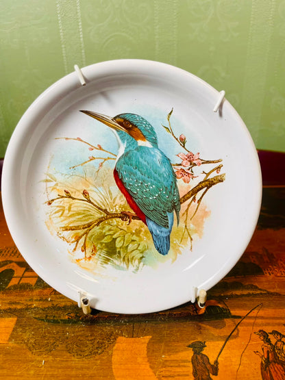Kingfisher Blossom Decorative Wall Plate 13cm
