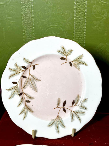 Royal Albert Braemar Bone China Plates – 4 Pieces, 6.25 in