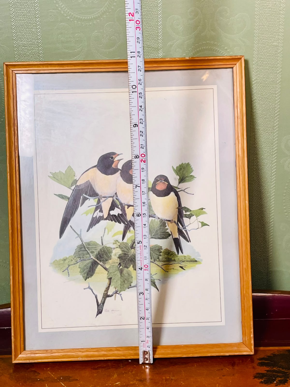 Framed Swallow Bird Art Print, Approx. 11 Inches