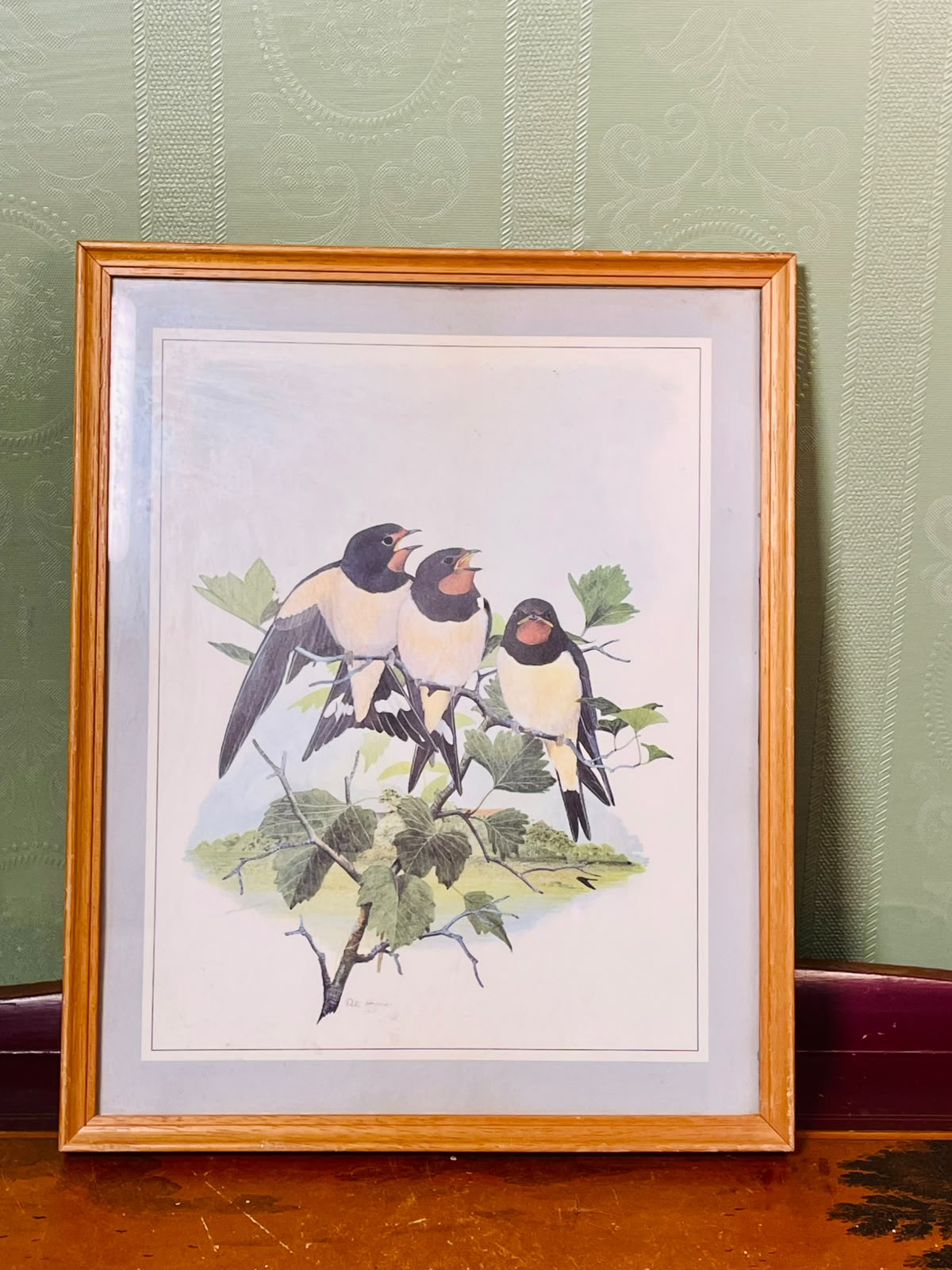 Framed Swallow Bird Art Print, Approx. 11 Inches