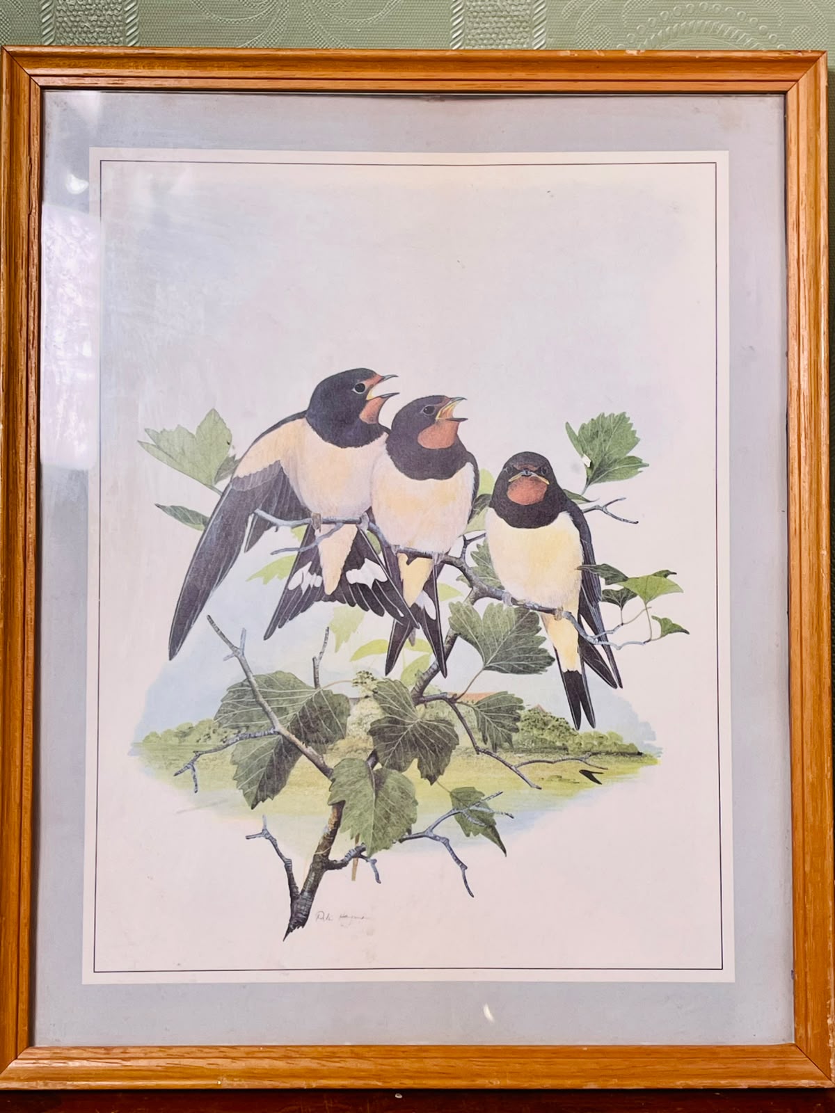 Framed Swallow Bird Art Print, Approx. 11 Inches