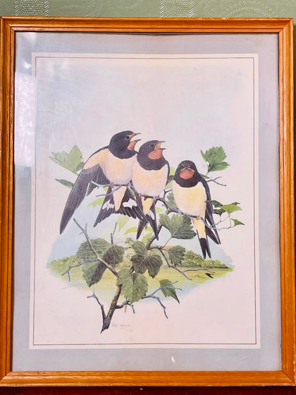 Framed Swallow Bird Art Print, Approx. 11 Inches