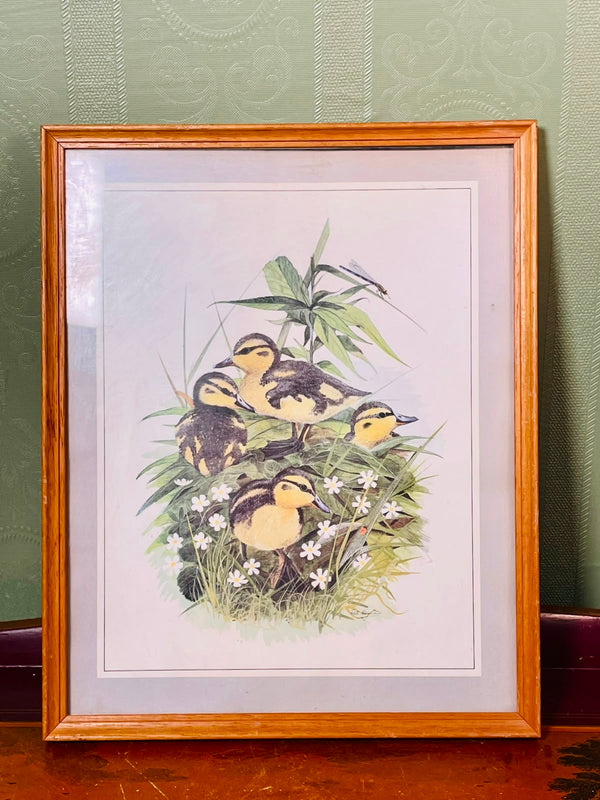 Framed Ducklings Botanical Art Print, Approx. 11 Inches