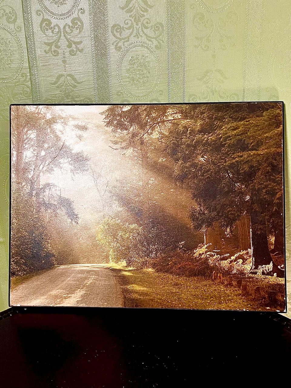 Rhinefield Drive at Blackwater Framed Picture 40cm