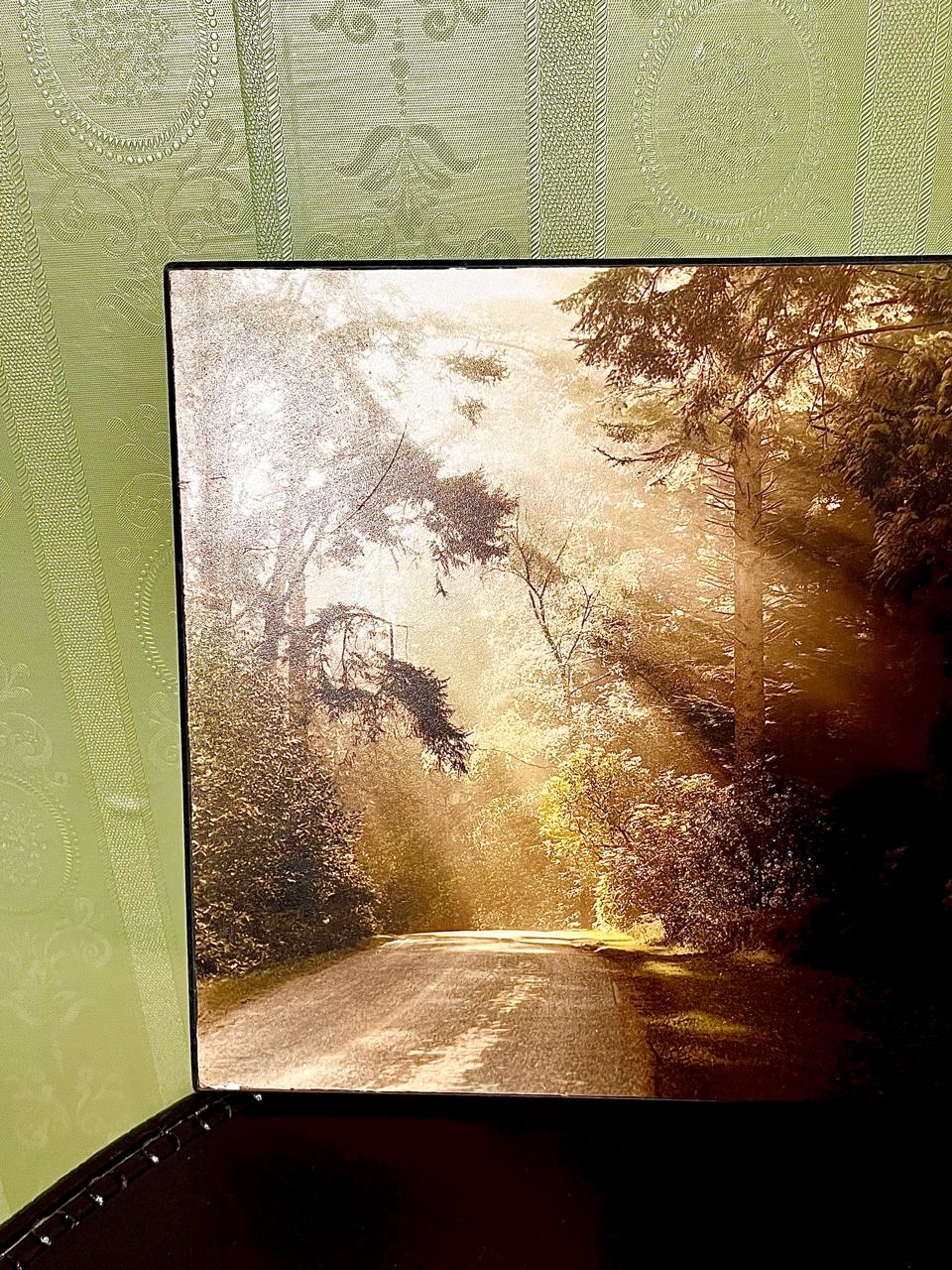 Rhinefield Drive at Blackwater Framed Picture 40cm
