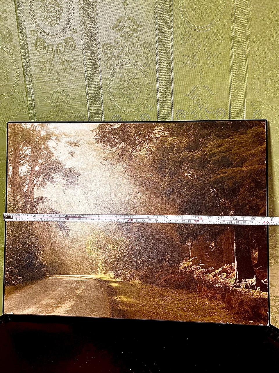 Rhinefield Drive at Blackwater Framed Picture 40cm