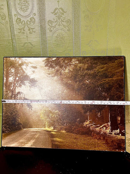 Rhinefield Drive at Blackwater Framed Picture 40cm