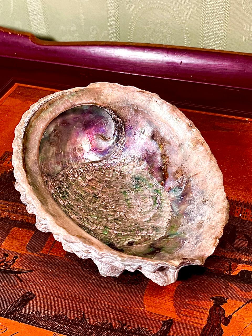 Iridescent Natural Shell Decorative Dish Approx. 6.5 Inch
